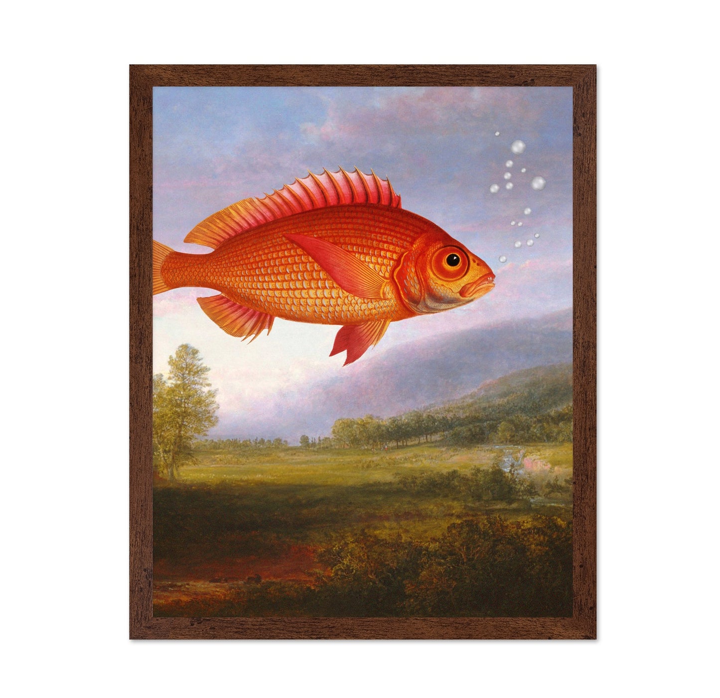 Floating Red Fish