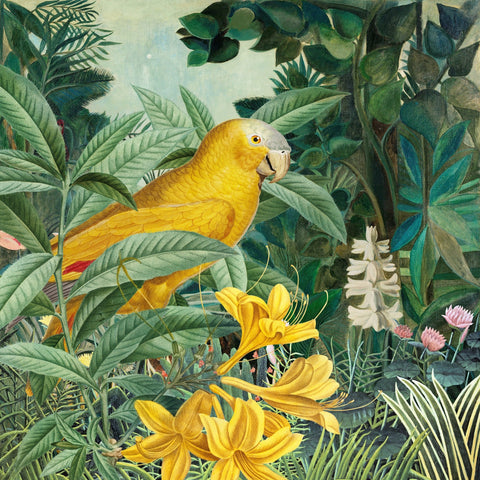 Yellow Parrot Jungle
