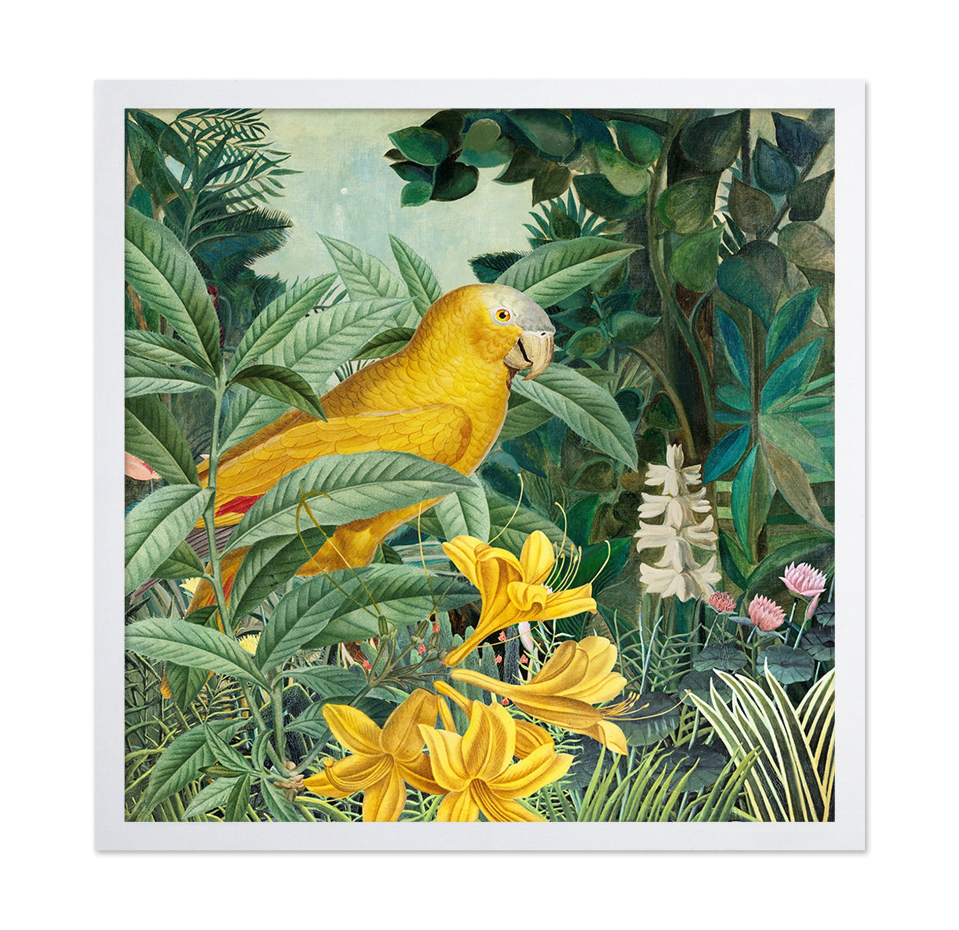 Yellow Parrot Jungle