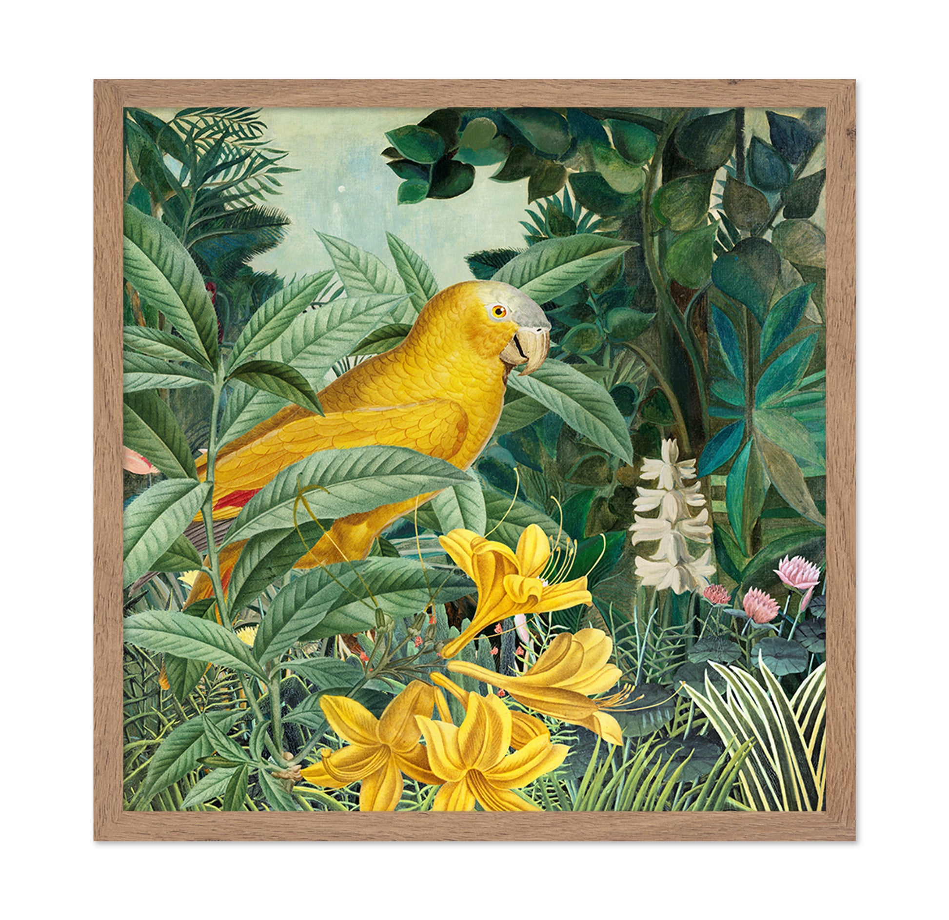 Yellow Parrot Jungle