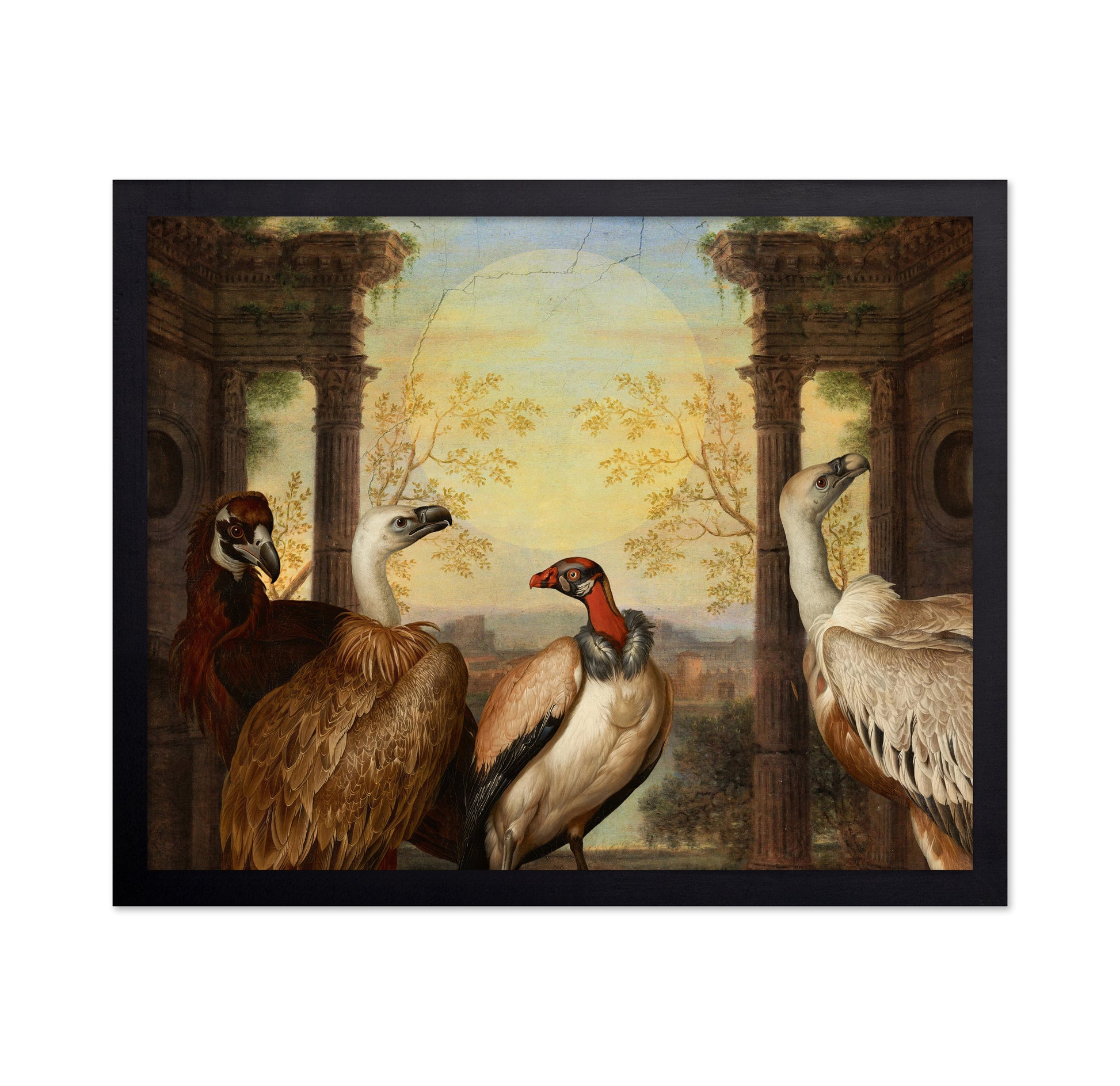 Four Vultures Scene