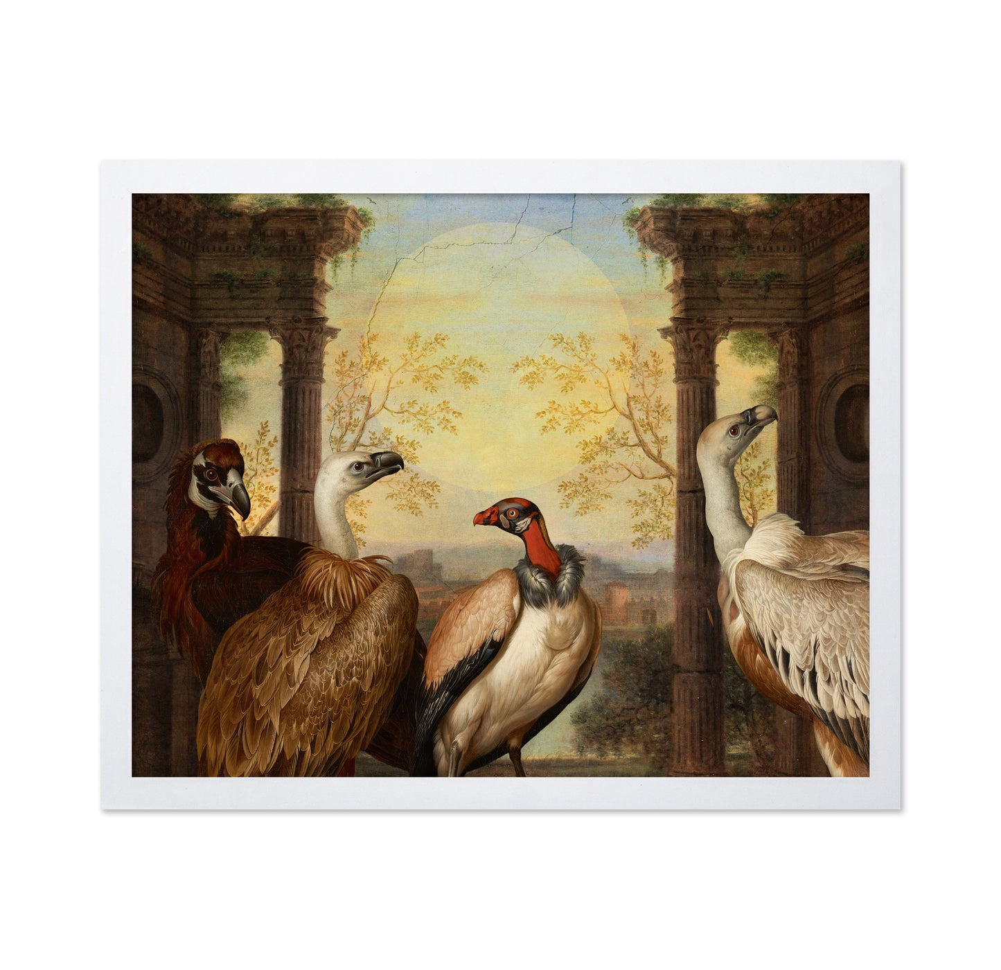 Four Vultures Scene