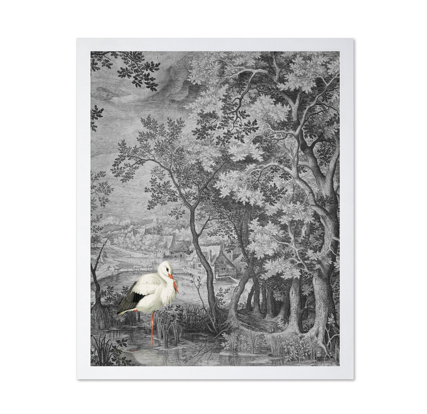 Stork In Vintage Forest
