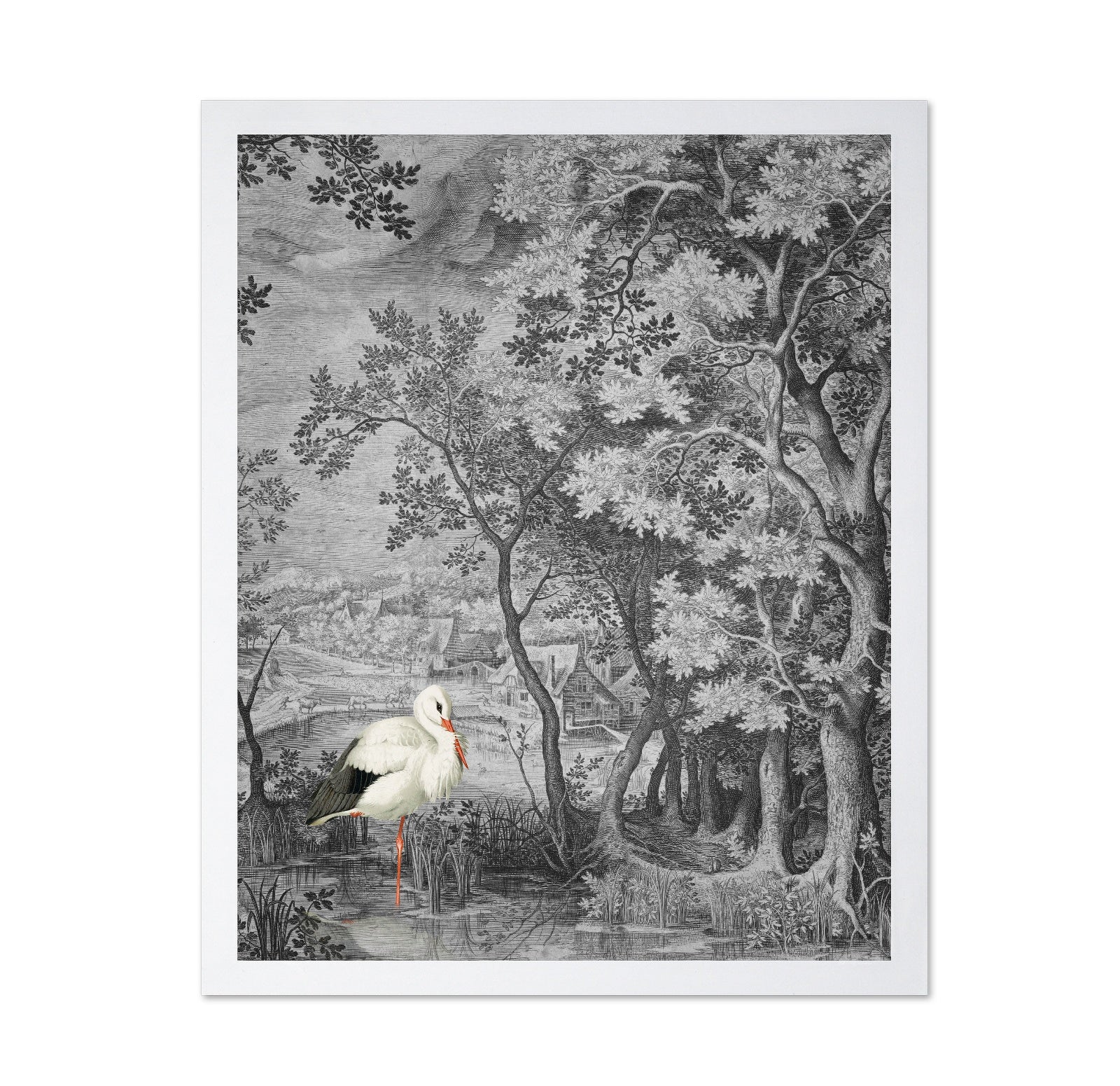 Stork In Vintage Forest