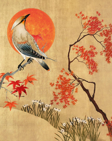 Japanese Autumn Bird