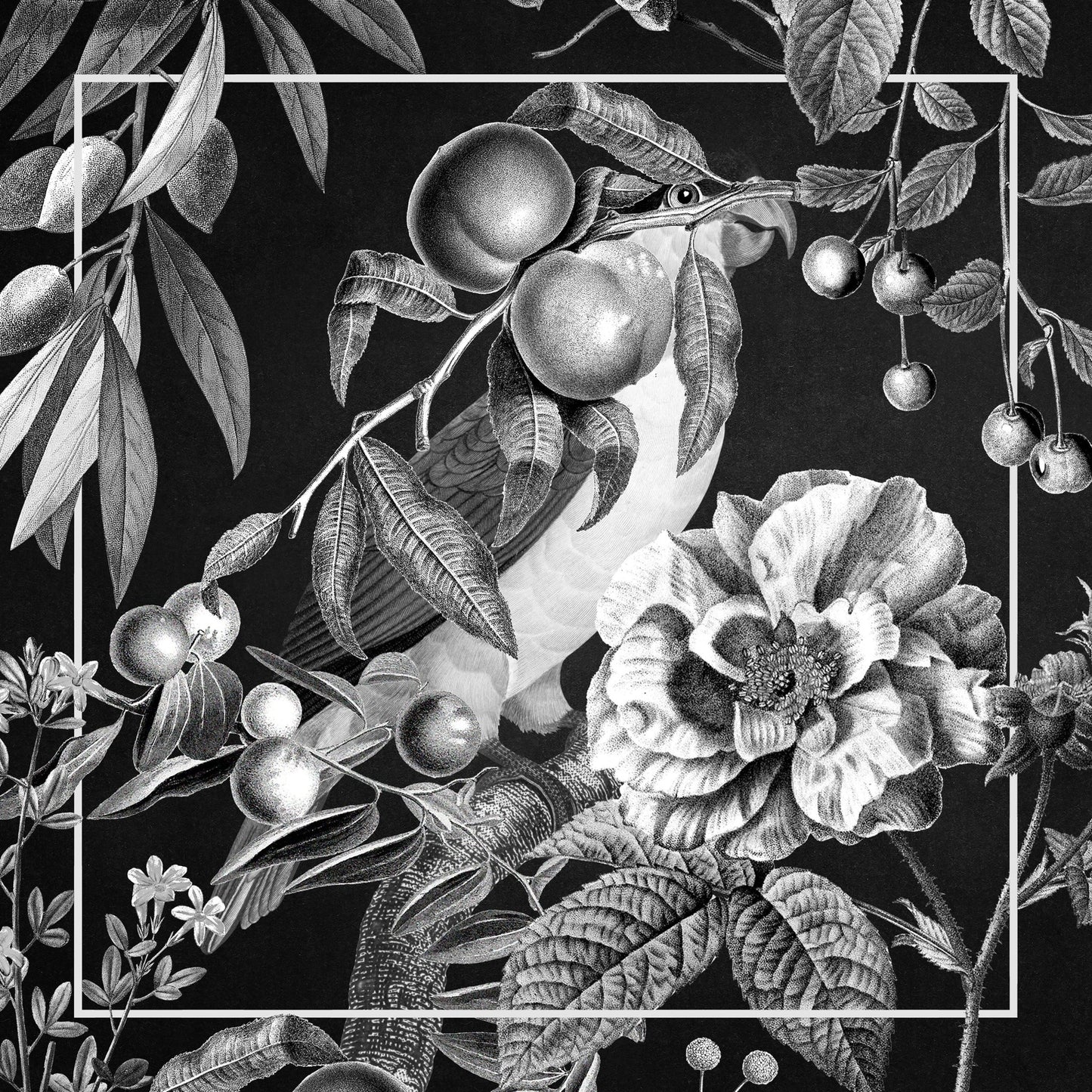 Hidden Parrot