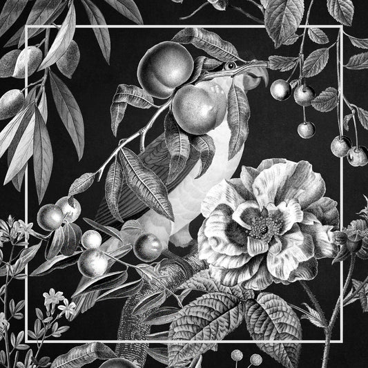 Hidden Parrot