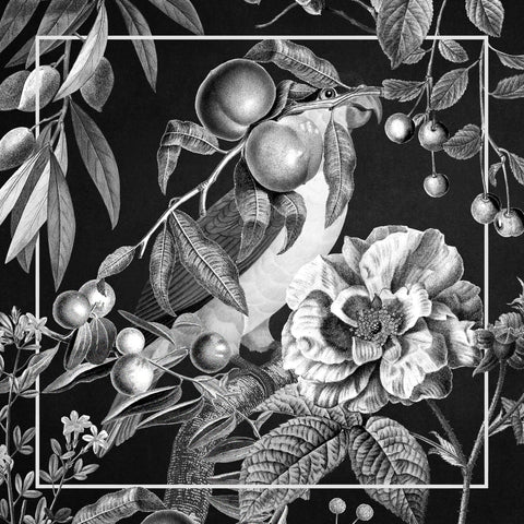 Hidden Parrot