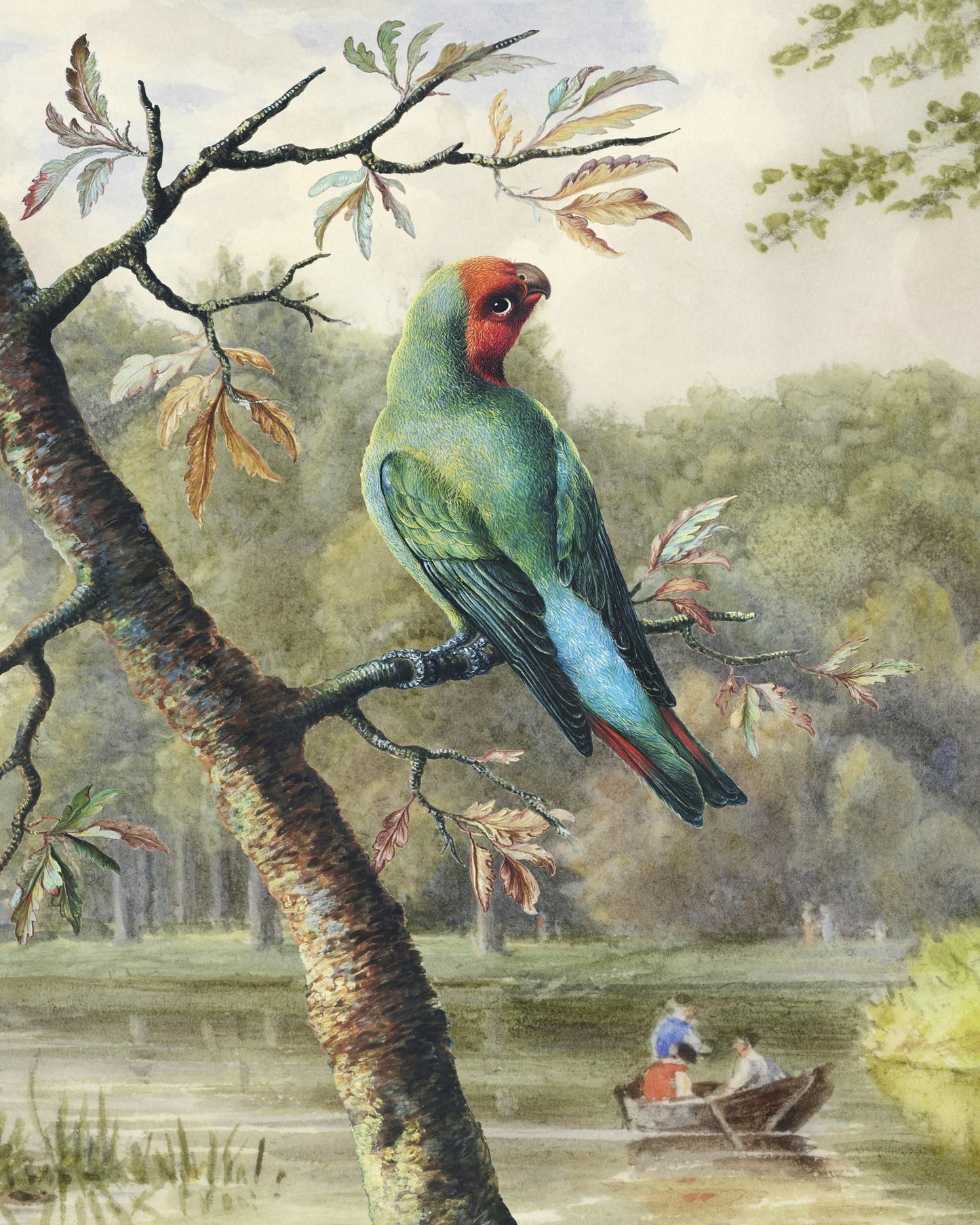 Park Parrot