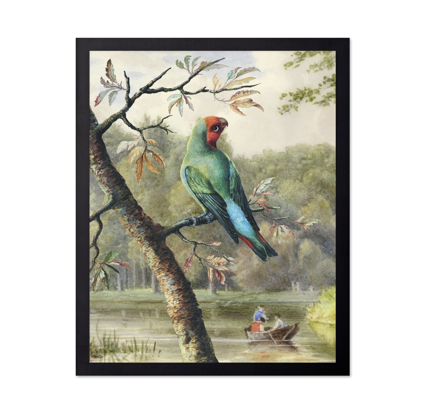 Park Parrot