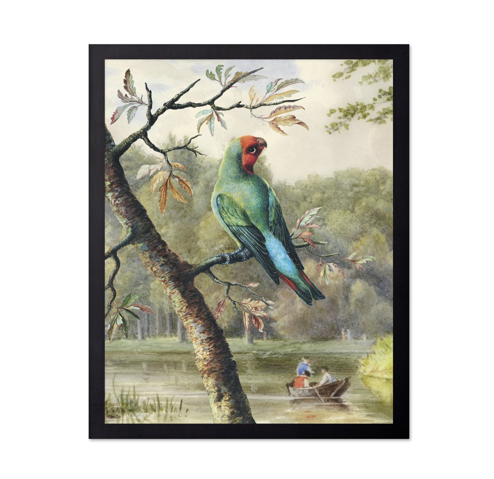 Park Parrot