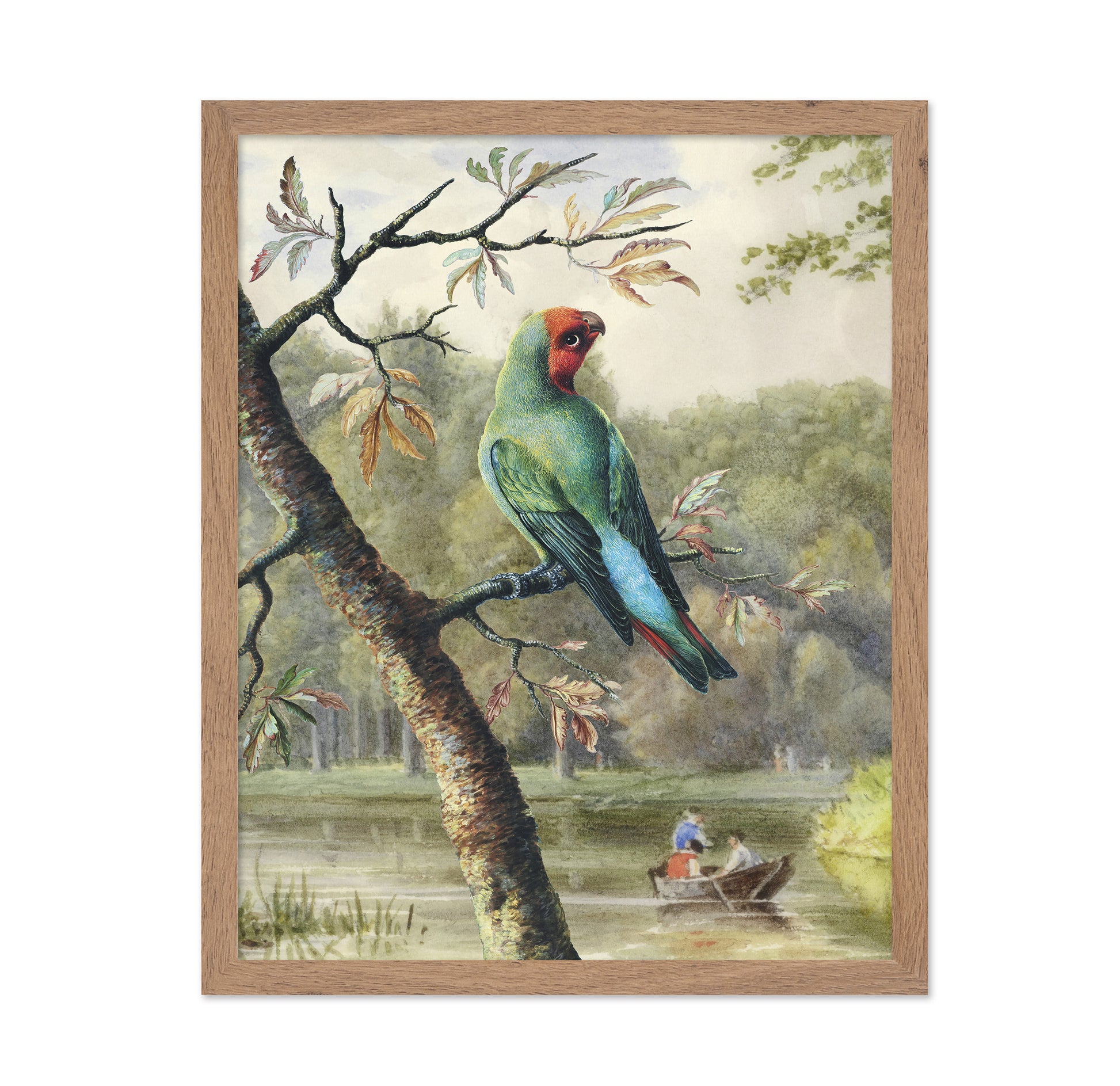 Park Parrot