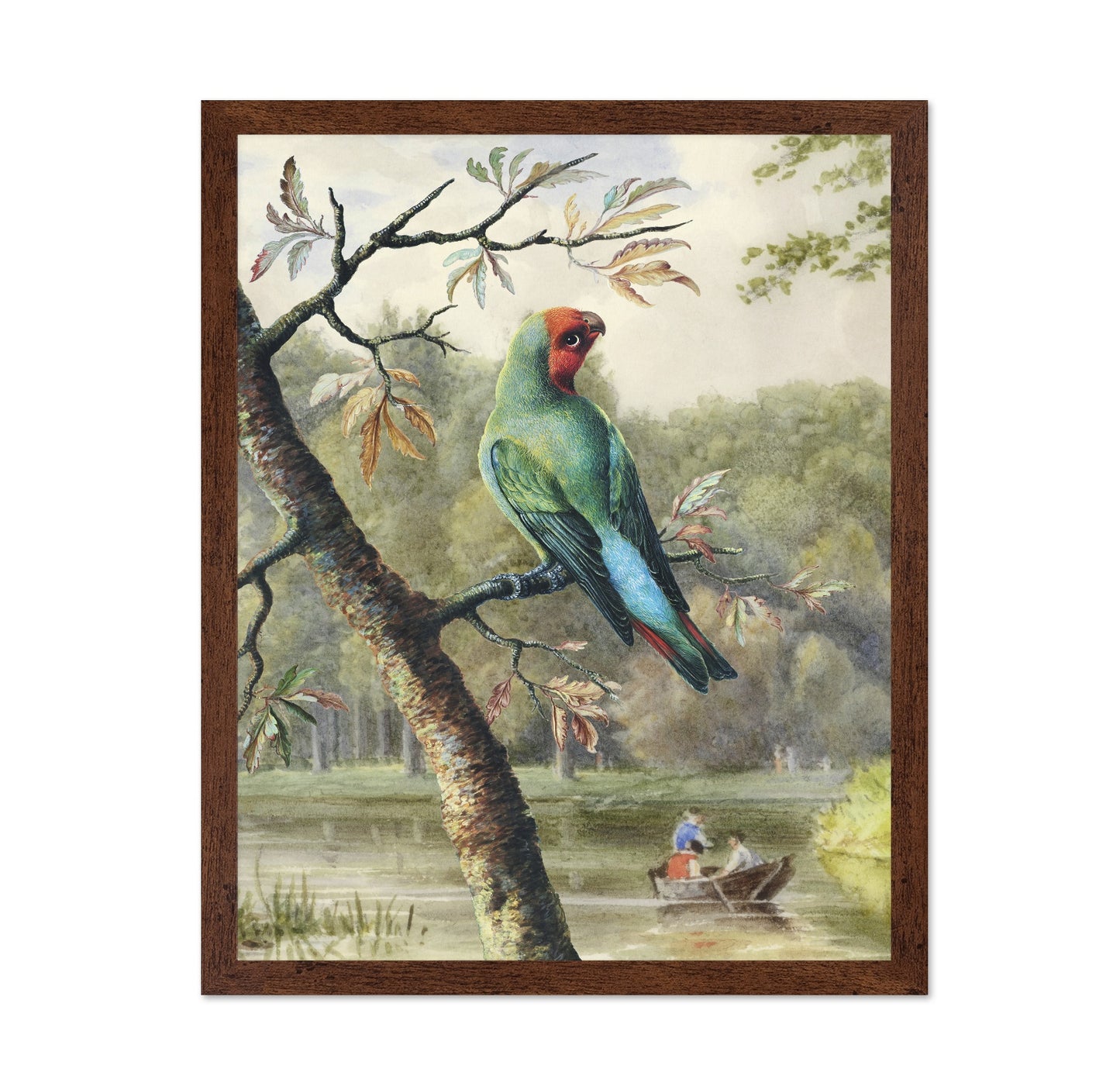 Park Parrot
