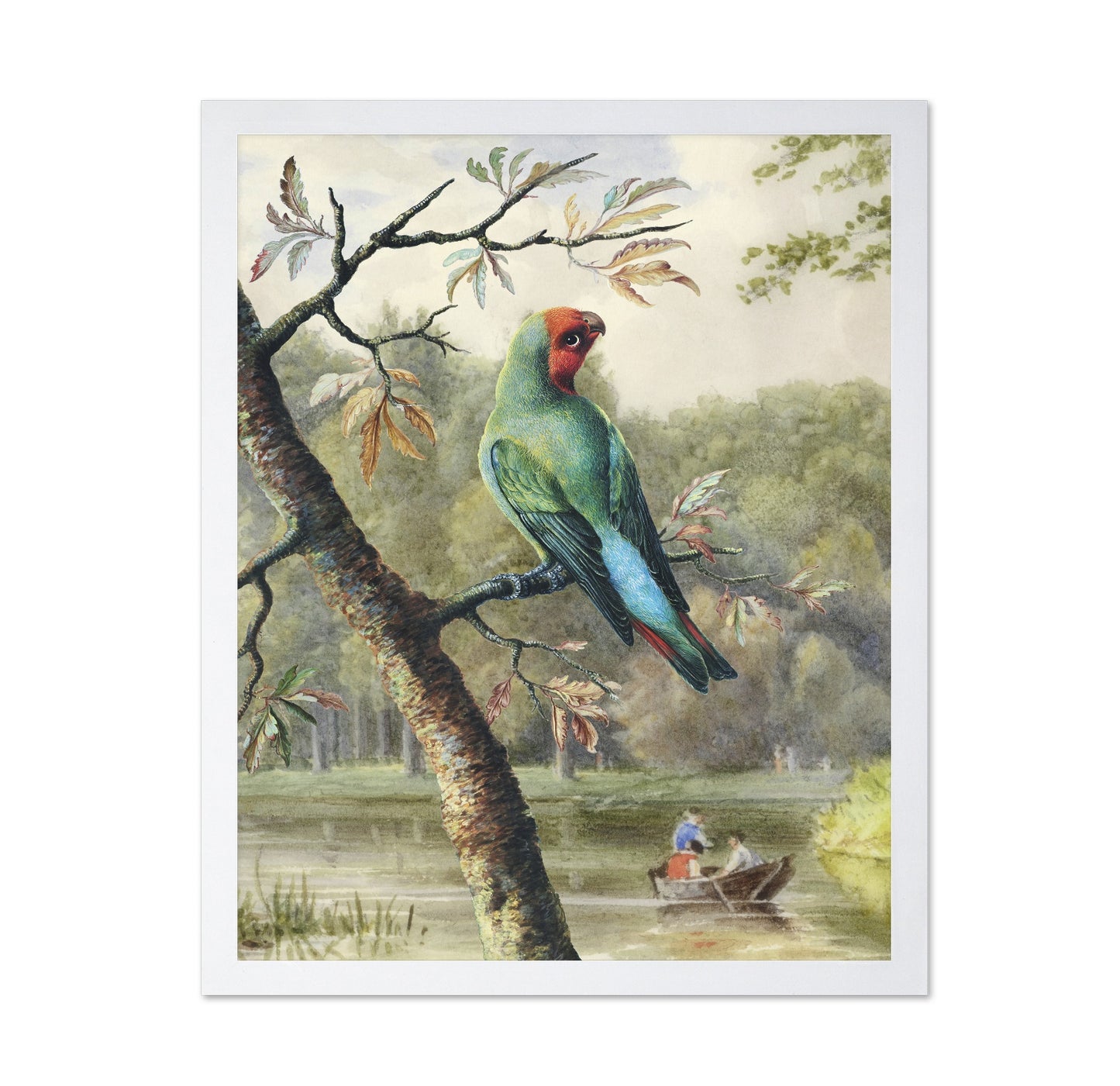 Park Parrot
