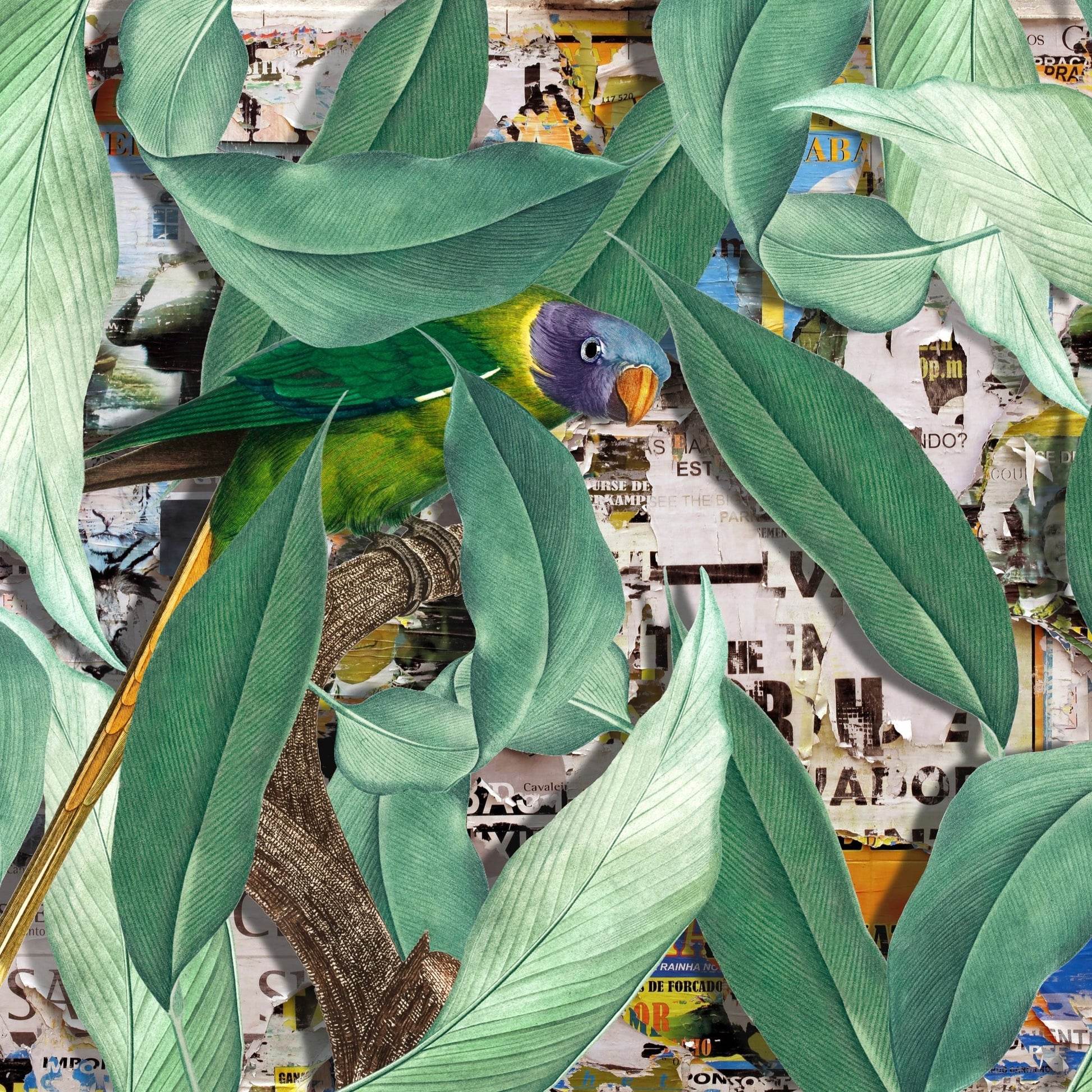 Verdant Parrot
