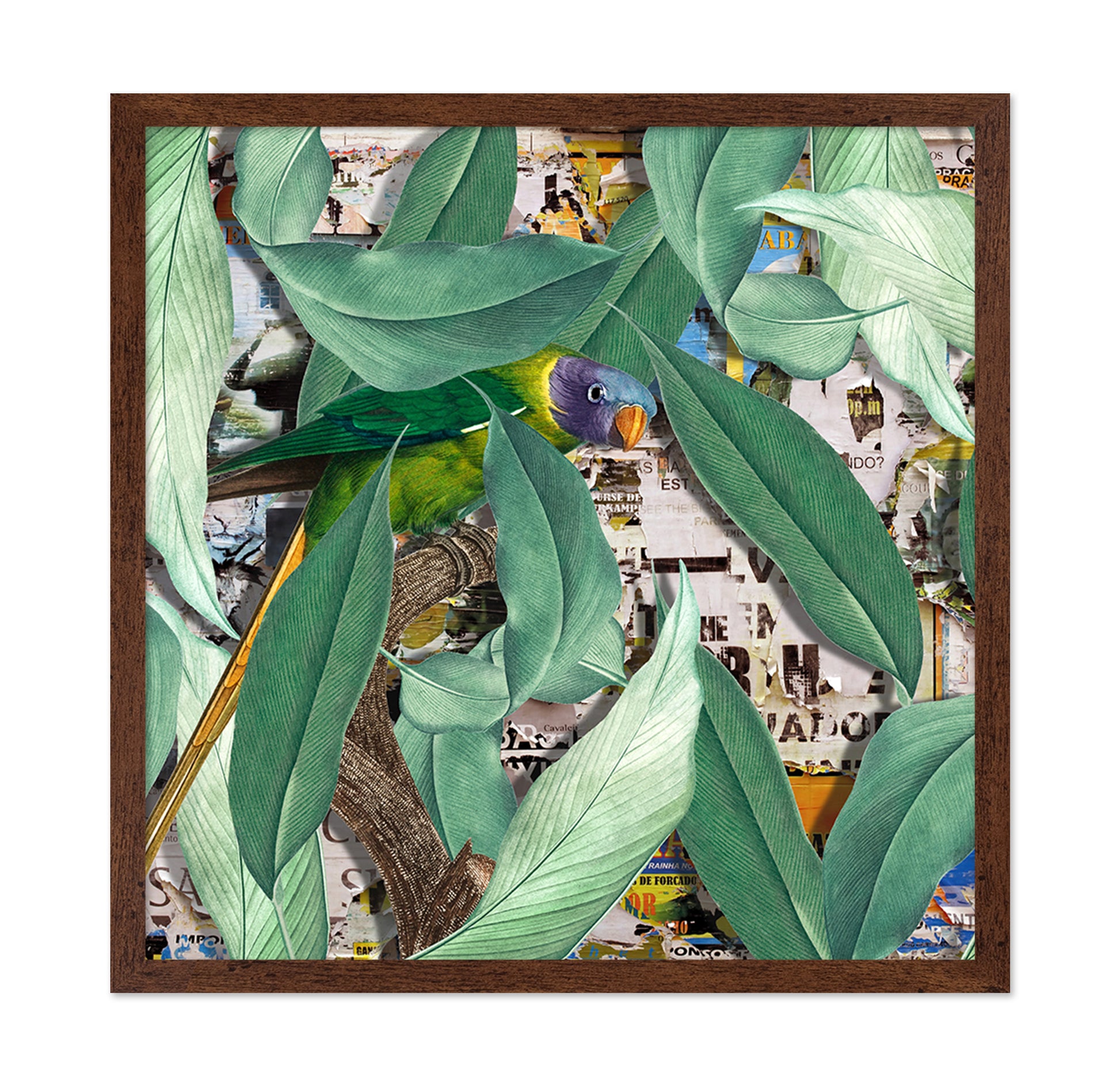 Verdant Parrot