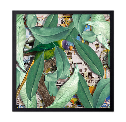 Verdant Parrot