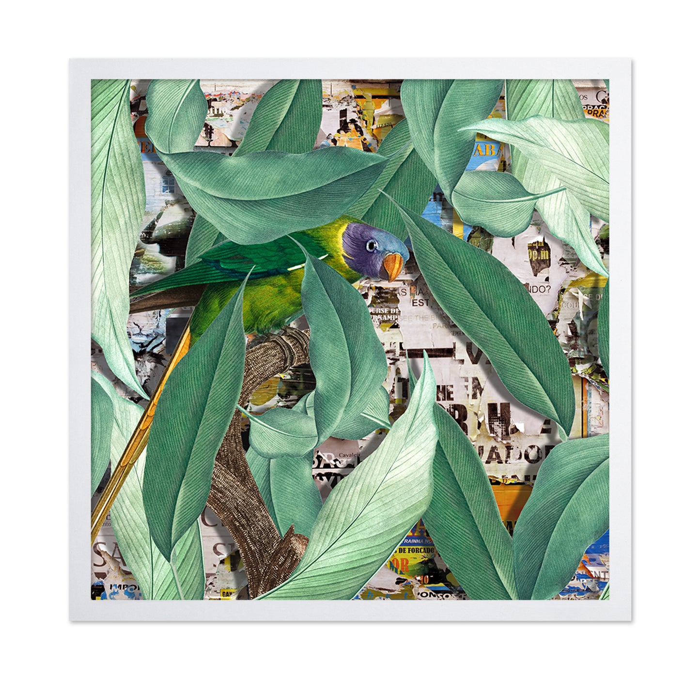 Verdant Parrot