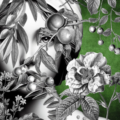 Hidden Spring Gaze