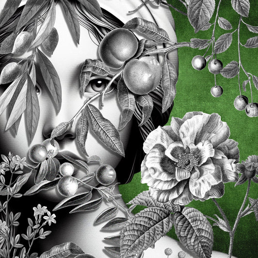 Hidden Spring Gaze