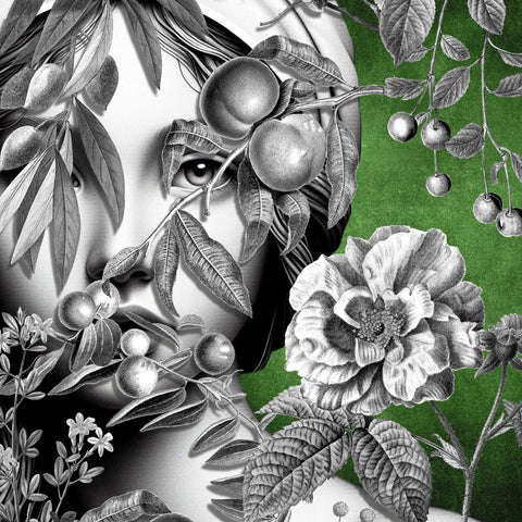 Hidden Spring Gaze
