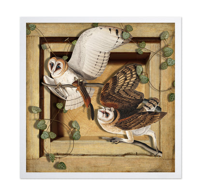 Barn Owl Pair