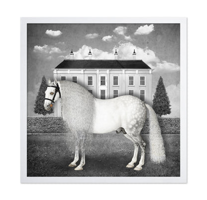 Regal Gray Stallion