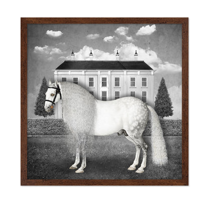 Regal Gray Stallion