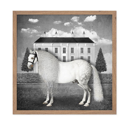 Regal Gray Stallion