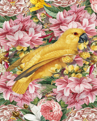 Yellow Bird In Bloom No1