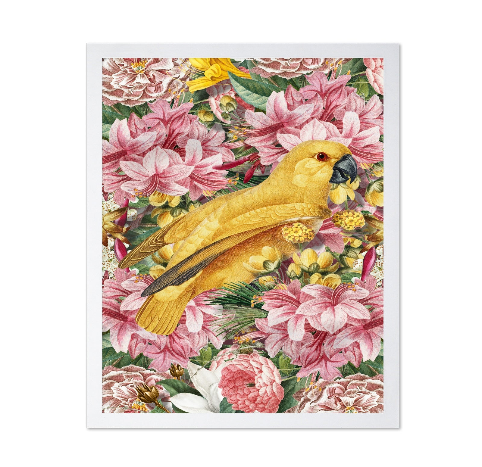 Yellow Bird In Bloom No1