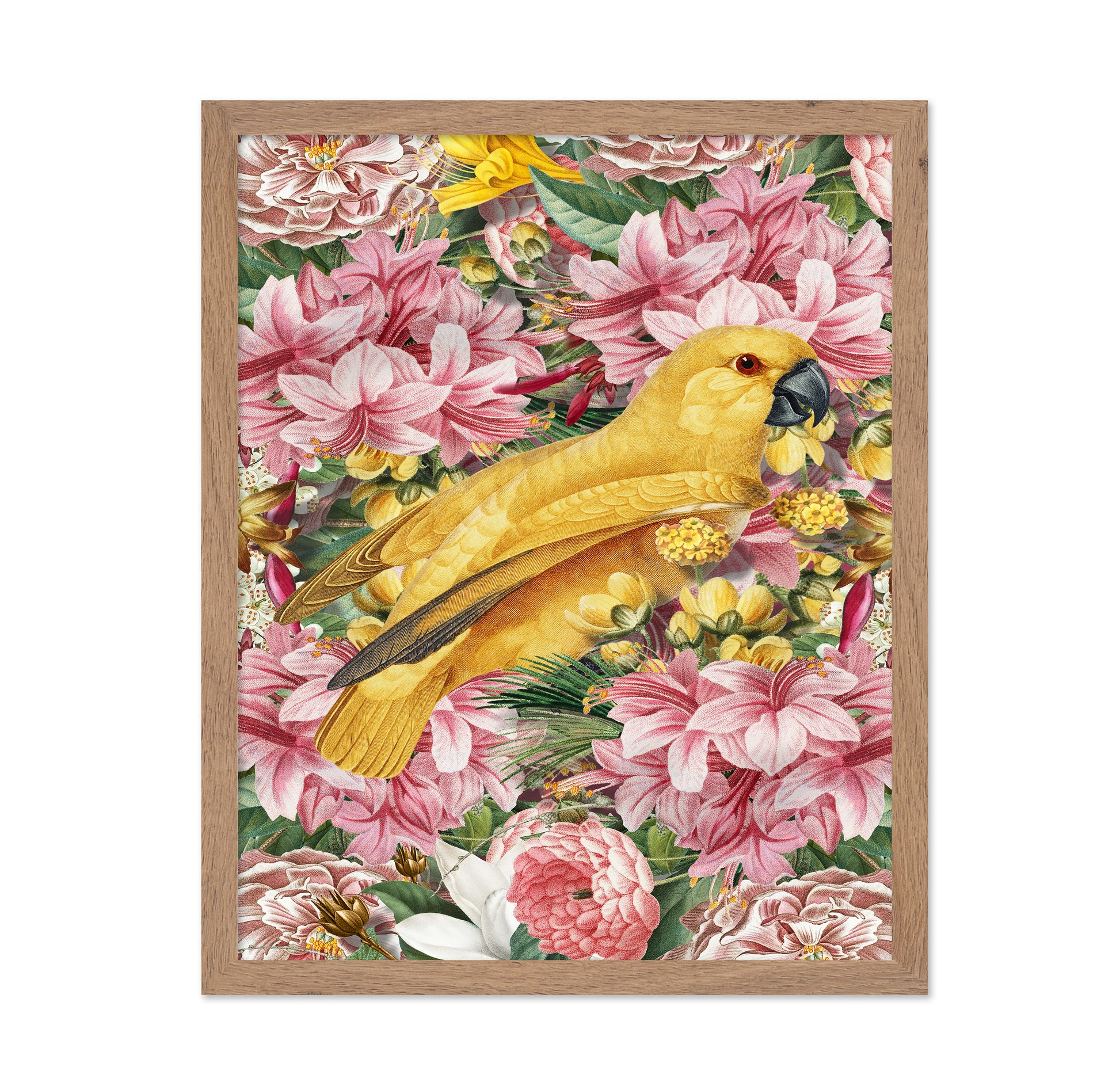 Yellow Bird In Bloom No1
