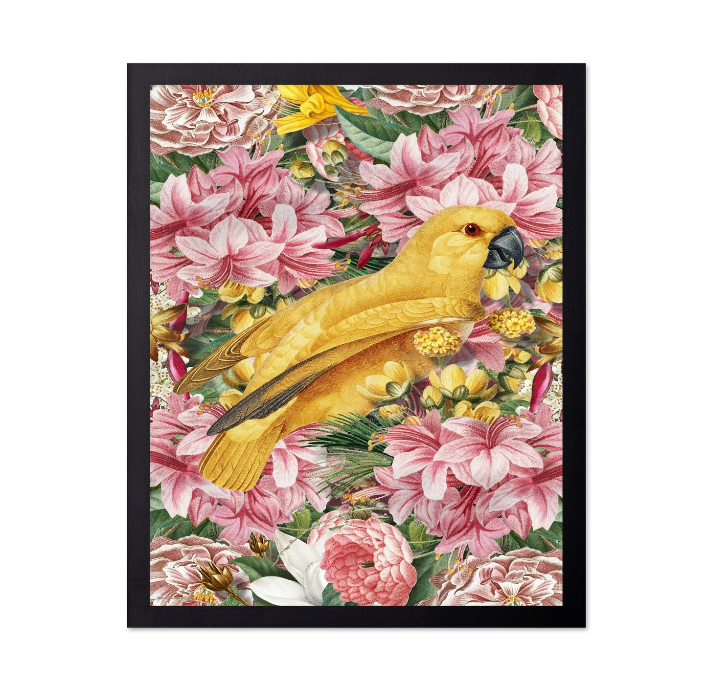 Yellow Bird In Bloom No1
