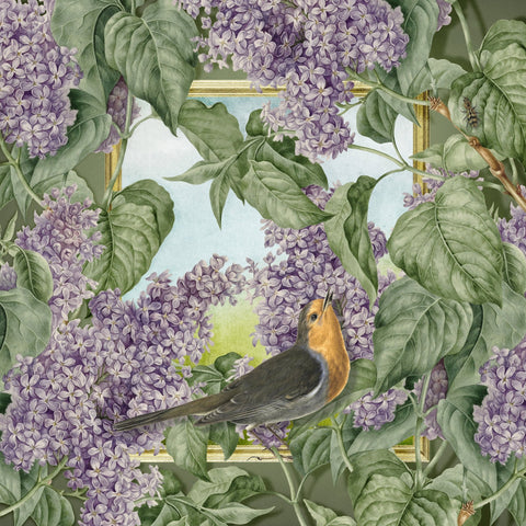 Robin In Lilac Garden