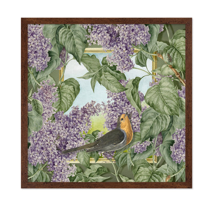 Robin In Lilac Garden