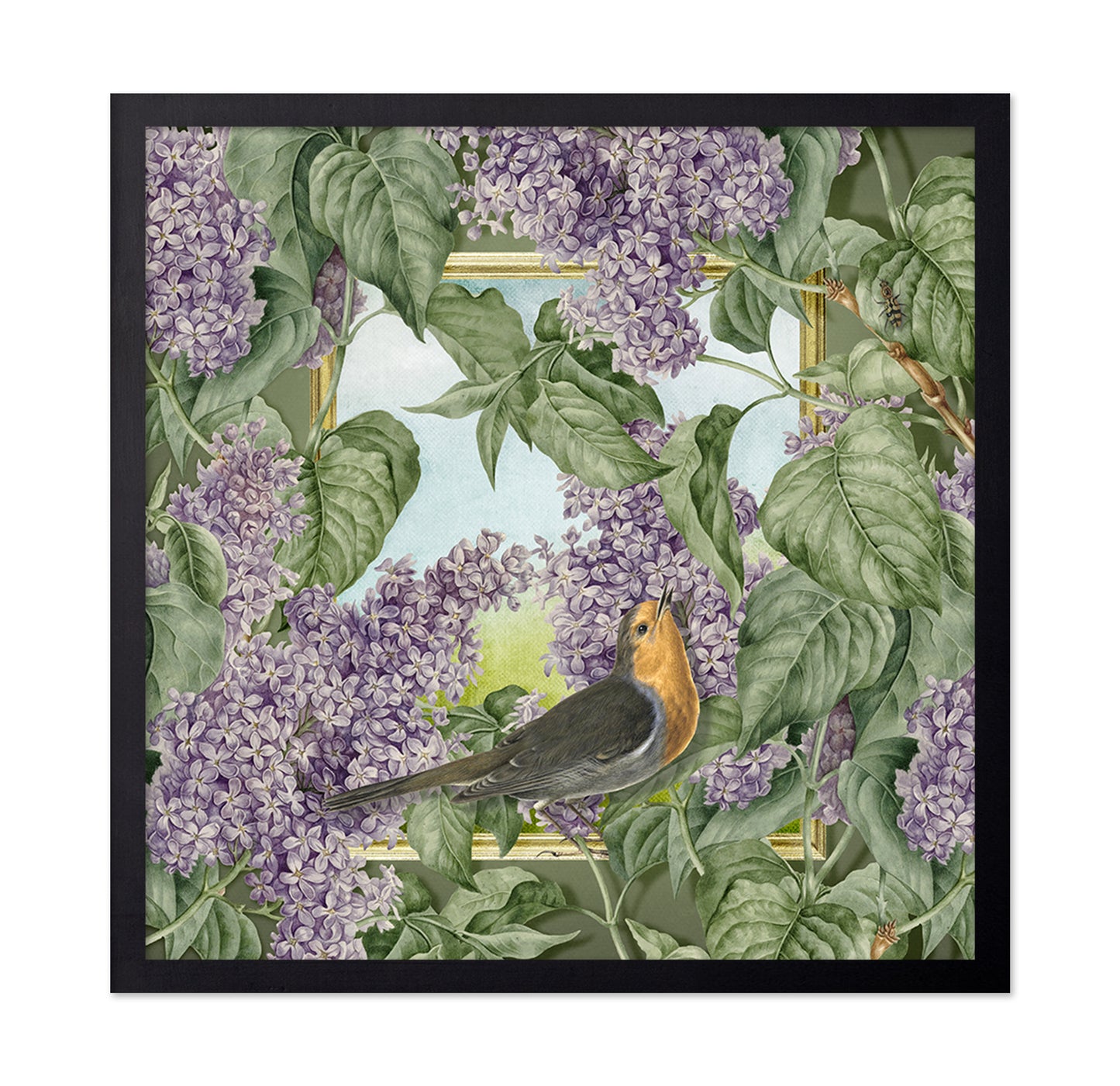 Robin In Lilac Garden