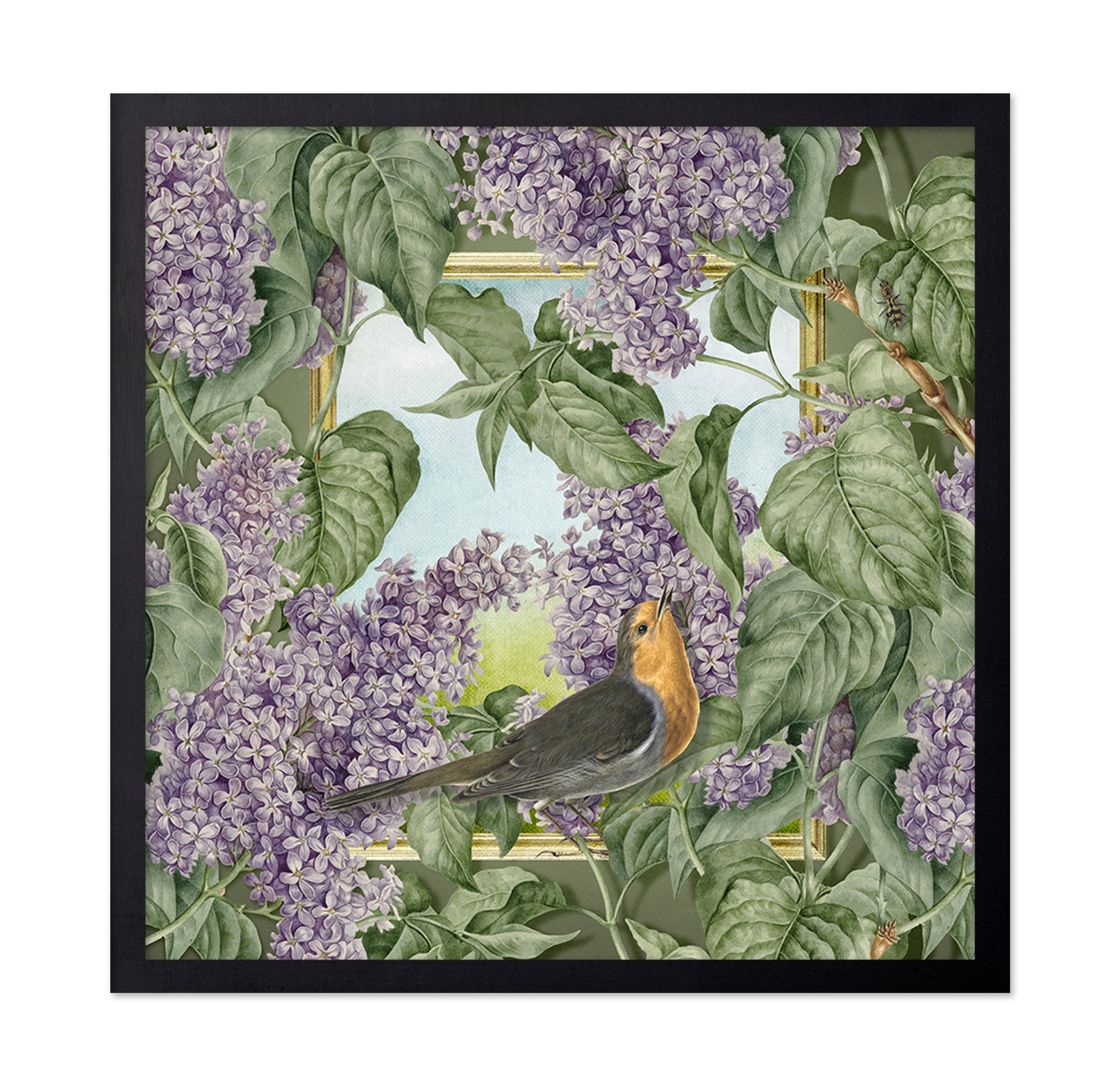 Robin In Lilac Garden