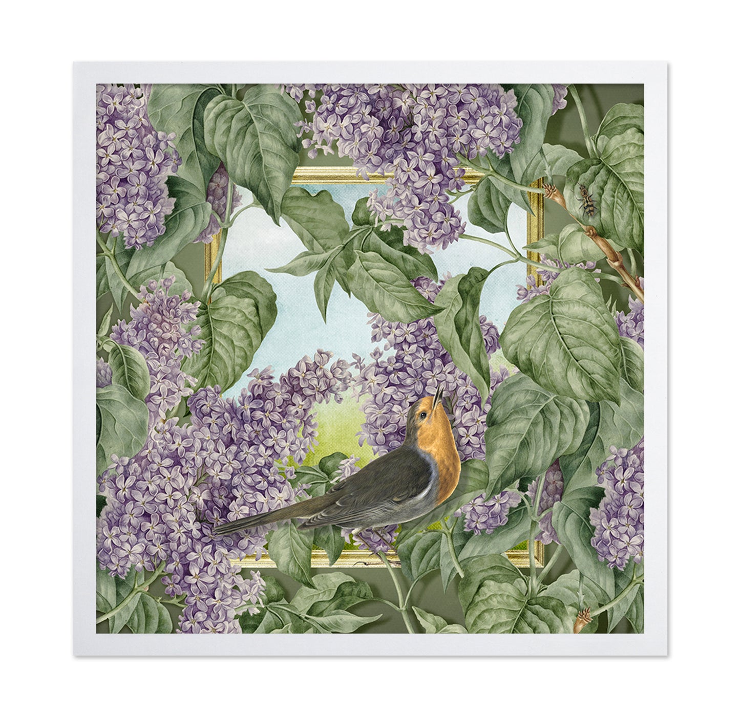 Robin In Lilac Garden