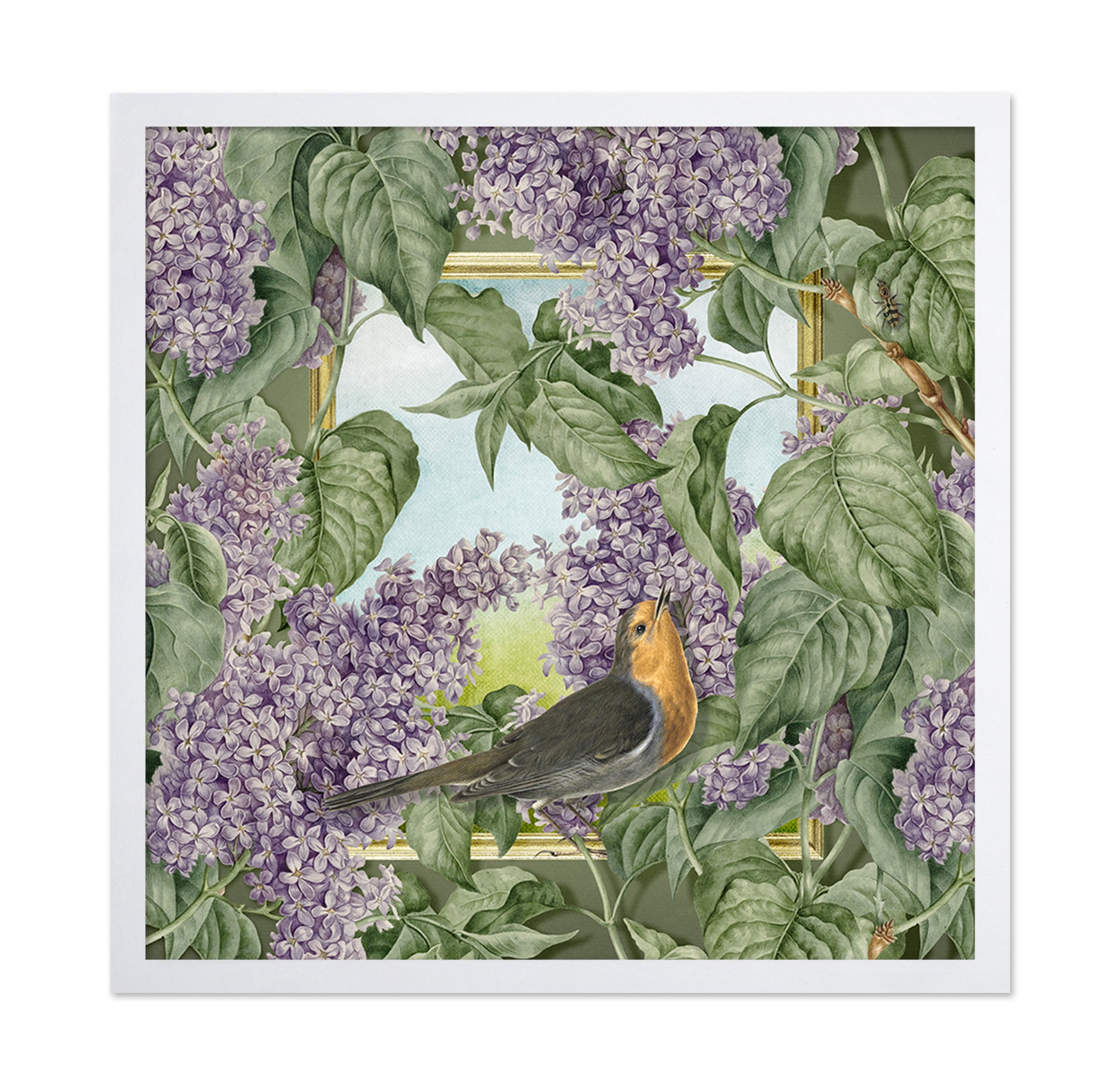 Robin In Lilac Garden