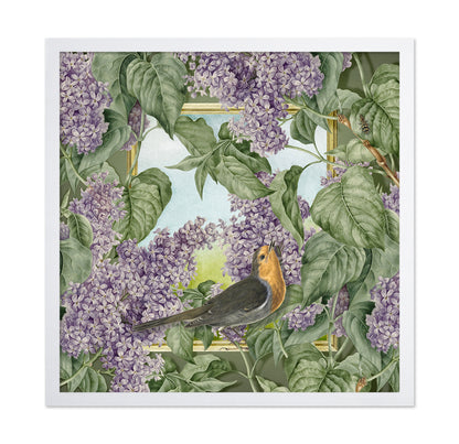 Robin In Lilac Garden