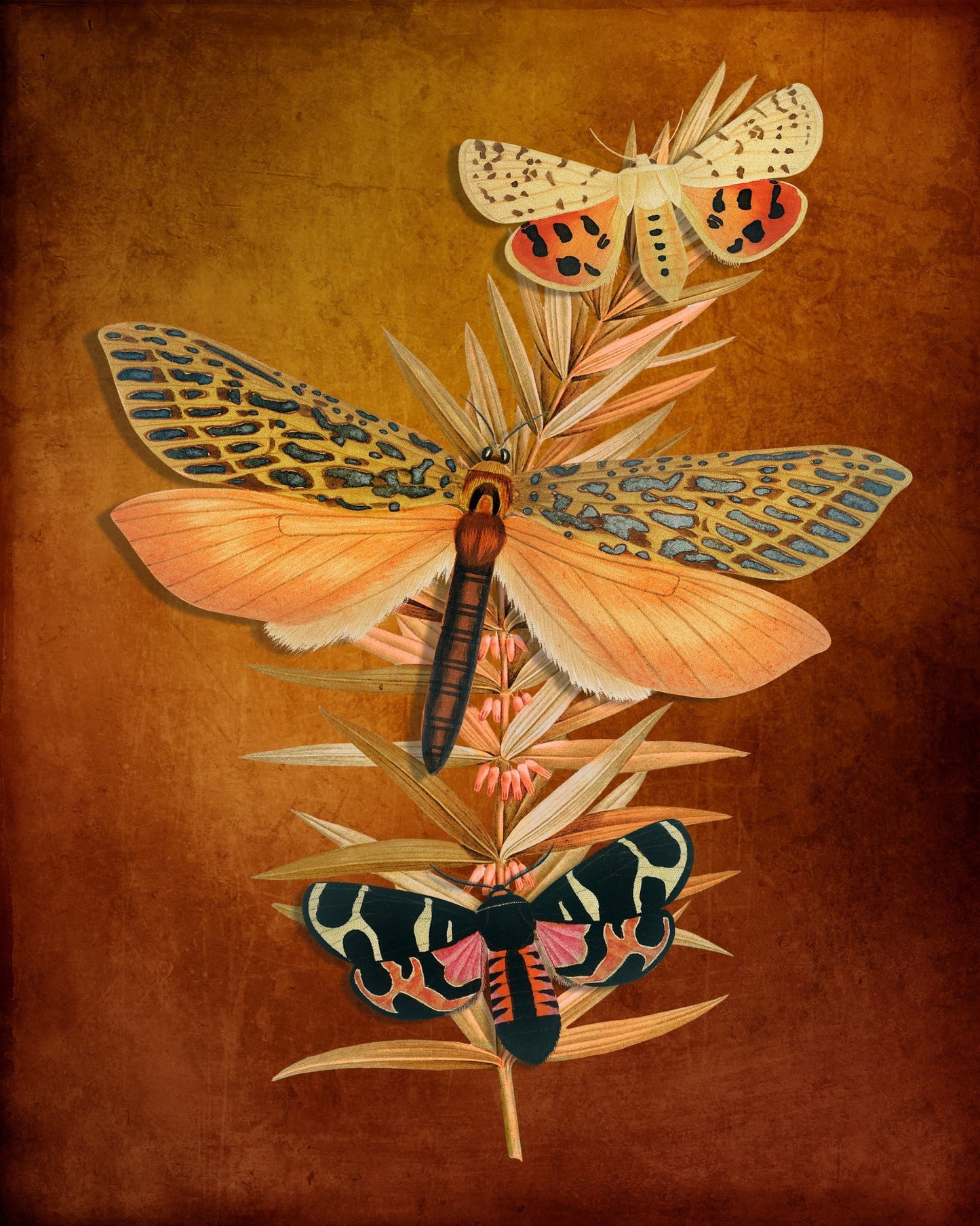 Autumn Moth Study