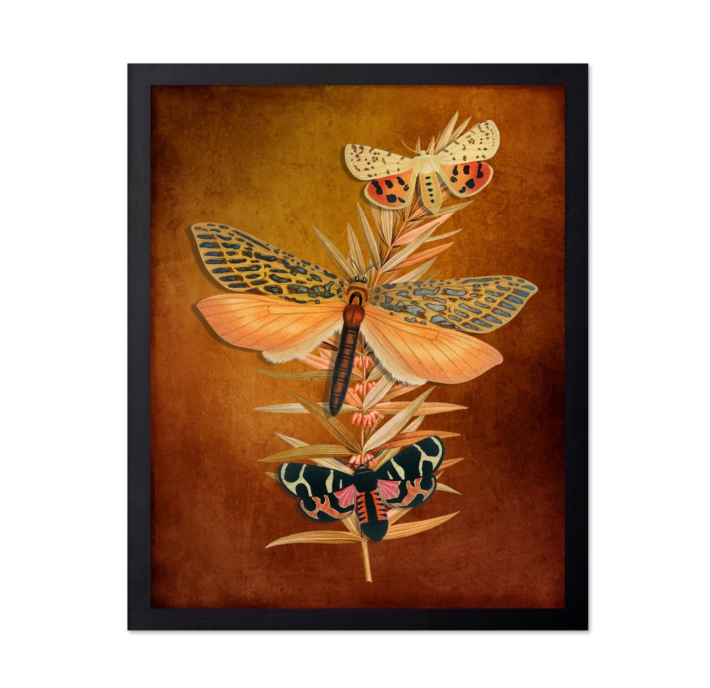 Autumn Moth Study