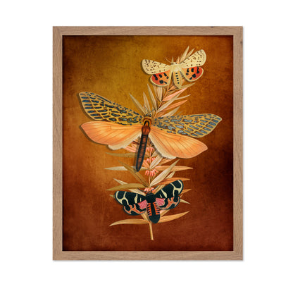 Autumn Moth Study