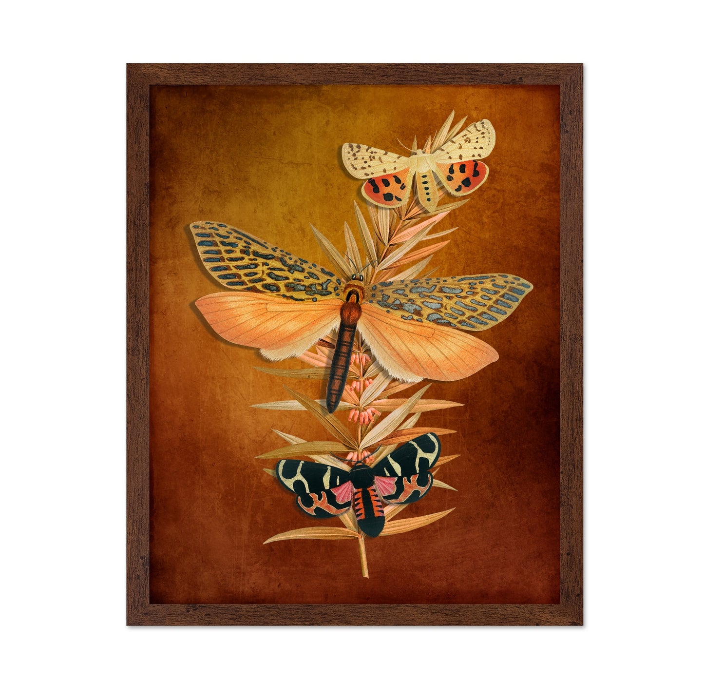 Autumn Moth Study