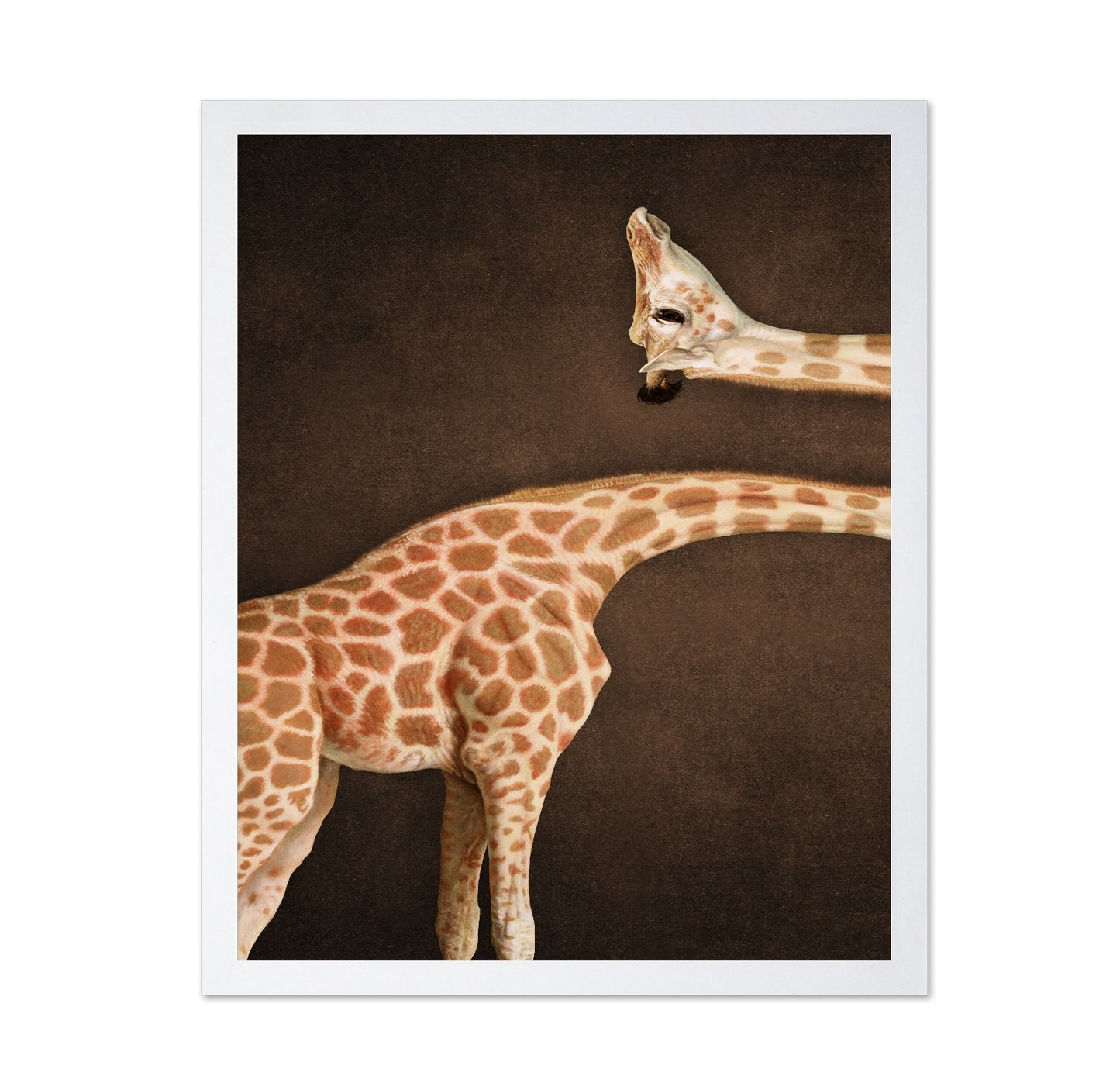 Twisted Giraffe Form