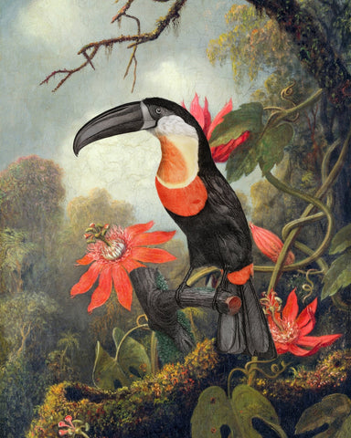 Tropical Toucan Bloom