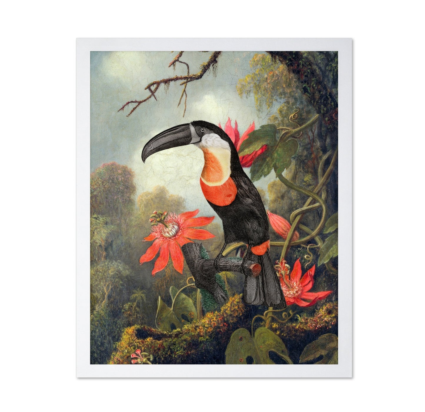 Tropical Toucan Bloom