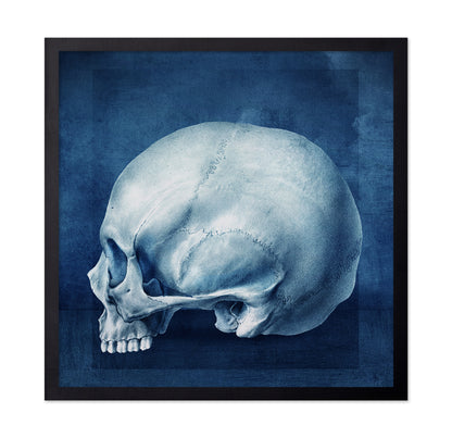 Blue Skull Study