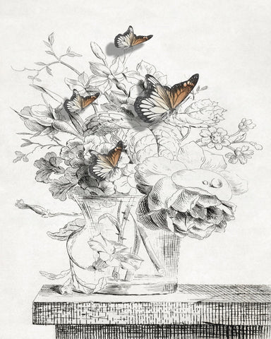 Butterfly Vase Sketch
