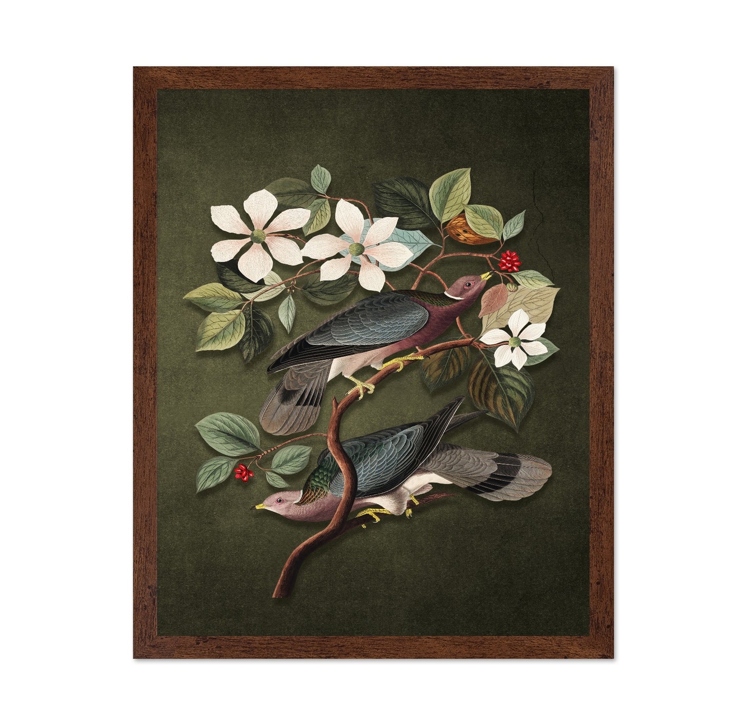 Vintage Pigeons Study